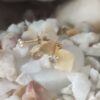 Minimalist Gold-Plated Single Stone Stud Earrings – Elegant Everyday Piercing Jewelry