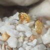 Elegant Gold-Plated Floral Stud Earrings – Lightweight & Hypoallergenic
