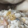 Delicate Gold-Plated Blossom Stud Earrings – Handcrafted Floral Beauty