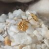 Gold-Plated Floral Stud Earrings – Elegant Flower Design for Everyday Glam