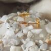 Gold-Plated Floral Stud Earrings – Elegant Flower Design for Everyday Glam
