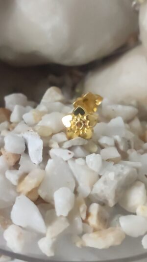 Gold-Plated Star-Shaped Stud Earrings with Floral Center – Unique & Elegant Design