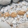 Stunning Gold-Plated Designer Bracelet with Intricate Detailing – Luxury Ethnic Statement Jewelry